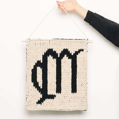 Bernat Craft EZ Graph It Zodiac Symbols Wall Hanging Craft Wall Hanging made in Bernat Alize Blanket EZ Graph-it yarn