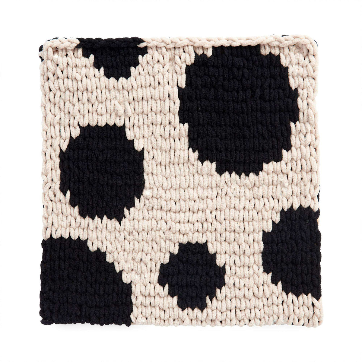 Craft Pillow made in Bernat Alize Blanket EZ Graph It yarn