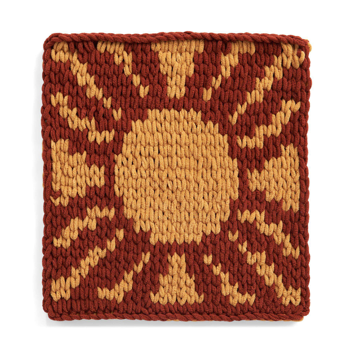 Craft Pillow made in Bernat Alize Blanket EZ Graph It yarn