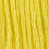 Canary Bright