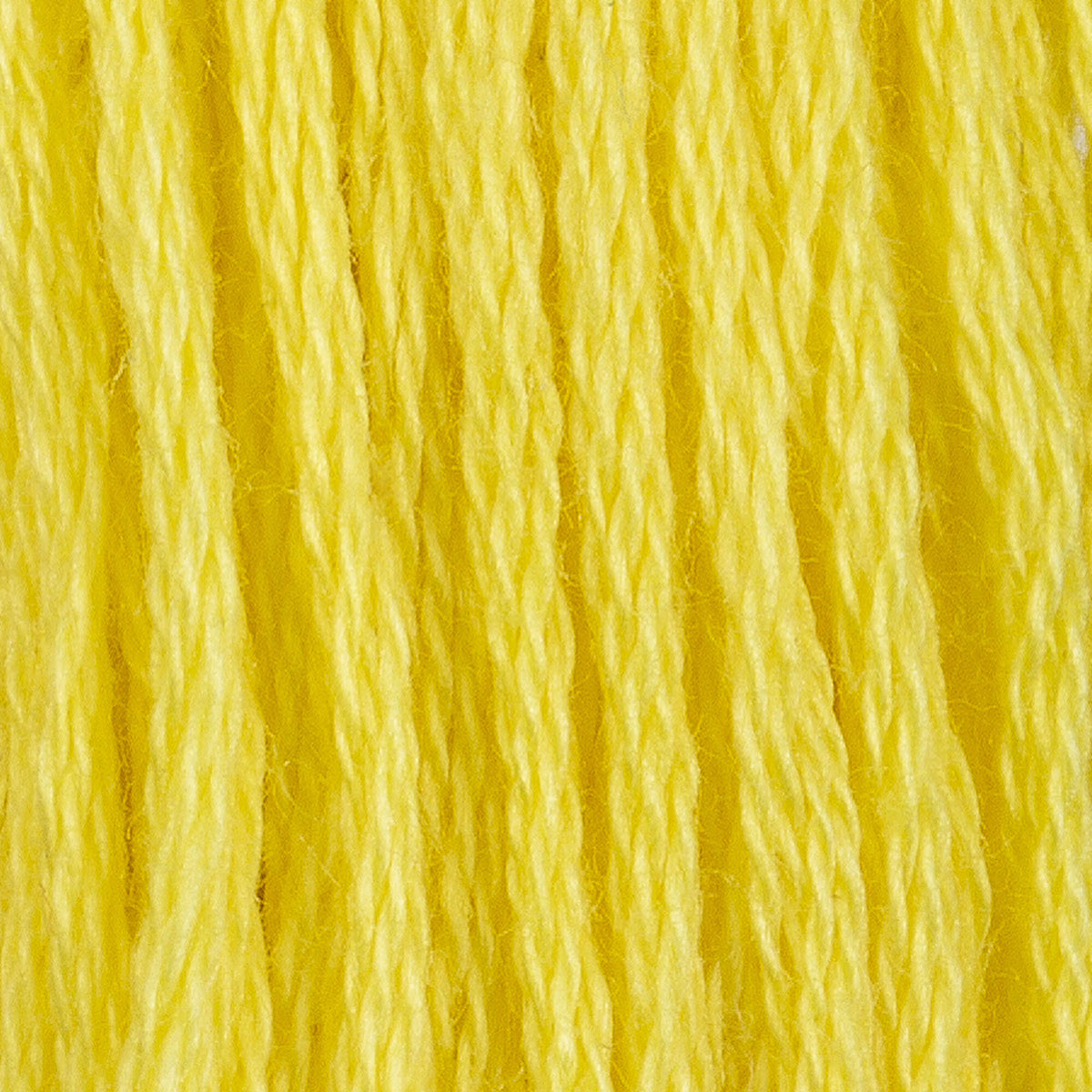 Canary Bright