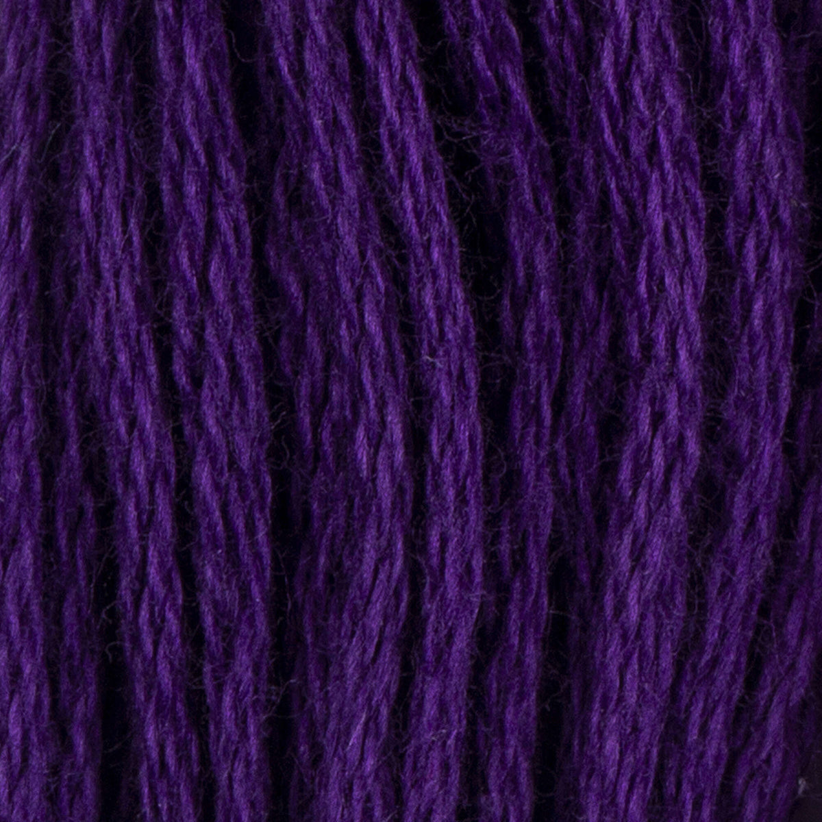 Violet Dark