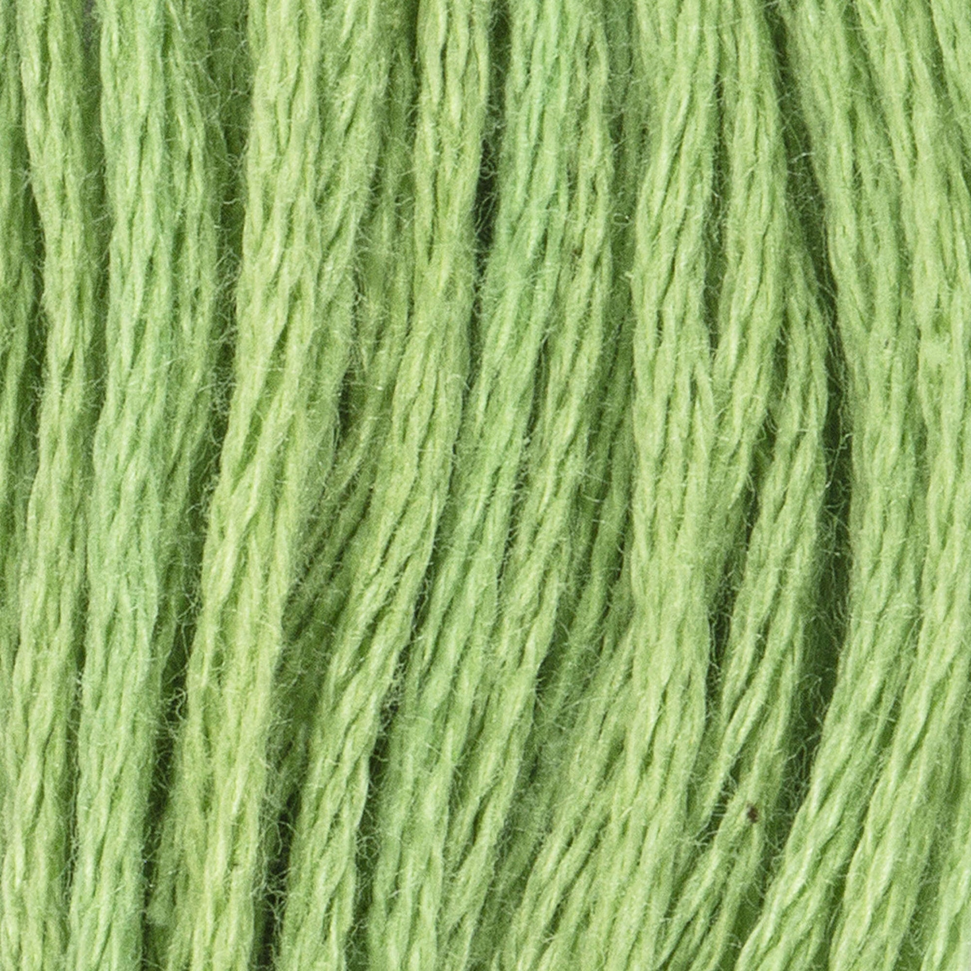 Coats & Clark Cotton Embroidery Floss Nile Green Light