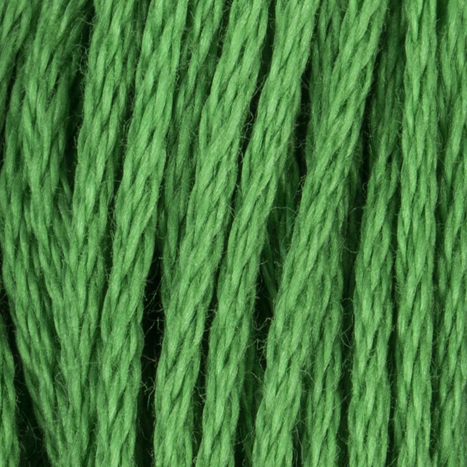Coats & Clark Cotton Embroidery Floss Parrot Green Dark