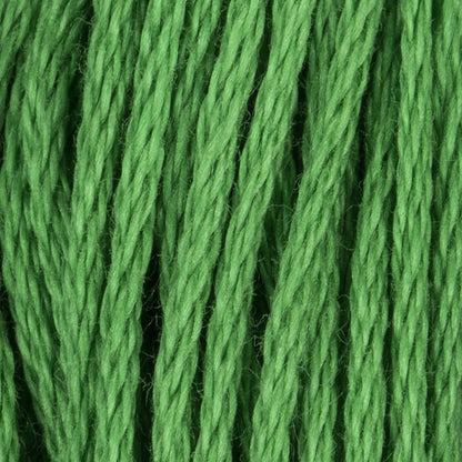Coats & Clark Cotton Embroidery Floss Parrot Green Dark