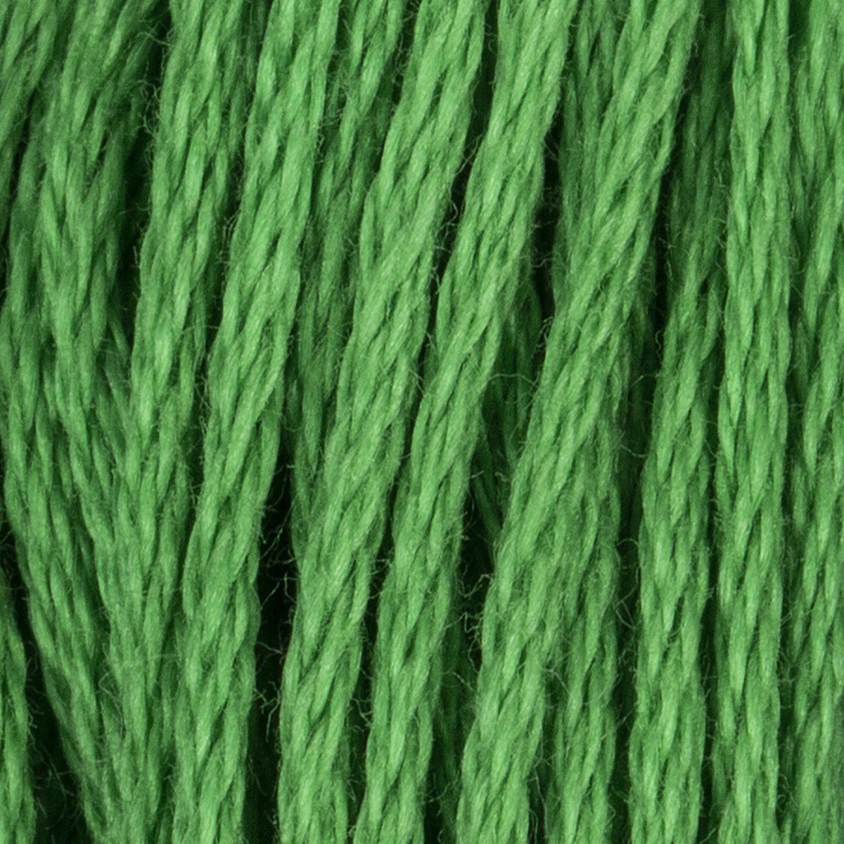 Parrot Green Dark