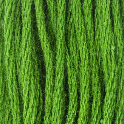 Coats & Clark Cotton Embroidery Floss Pistachio Green Very Dark