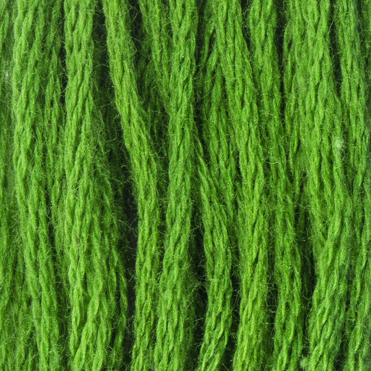Pistachio Green Very Dark