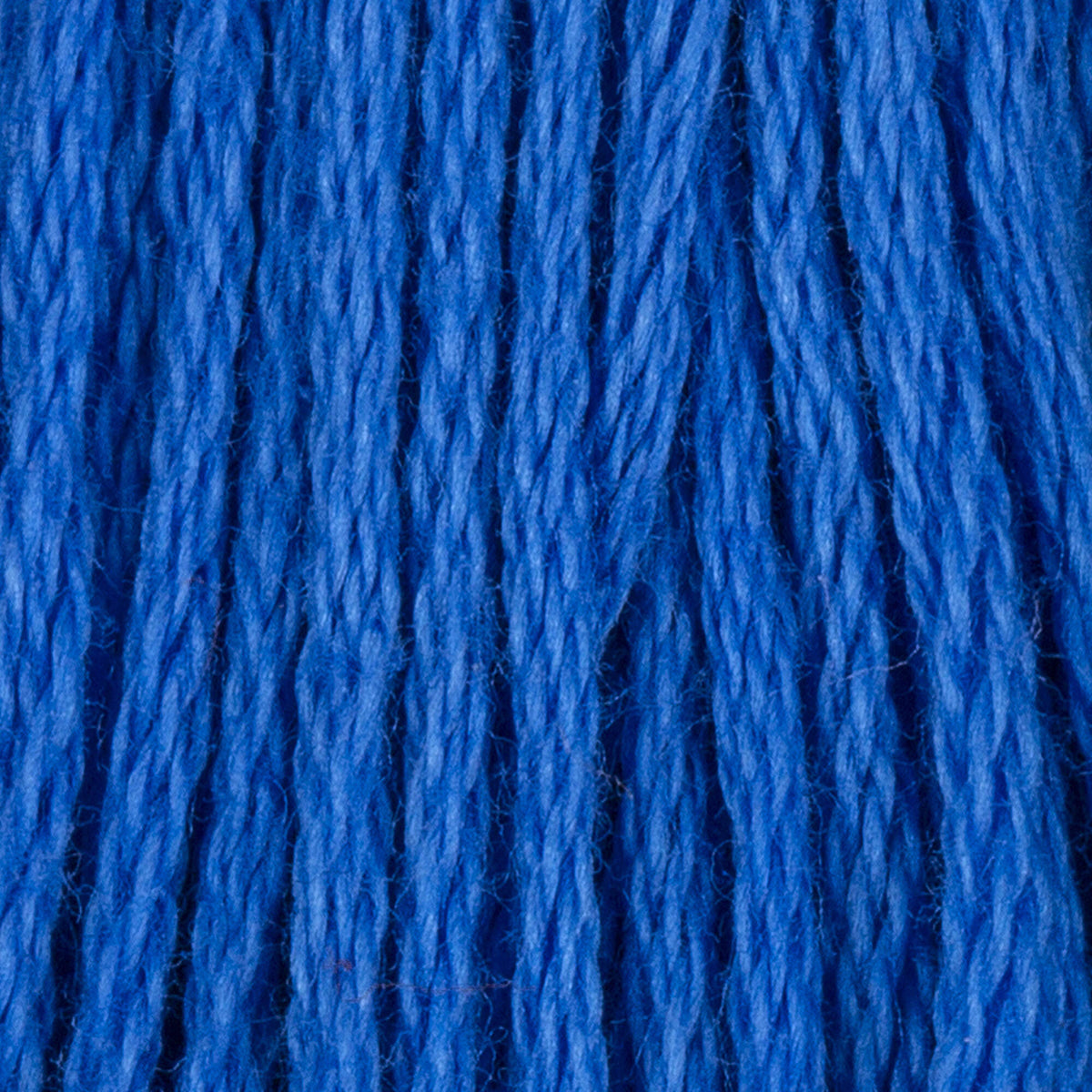 Cornflower Blue Dark