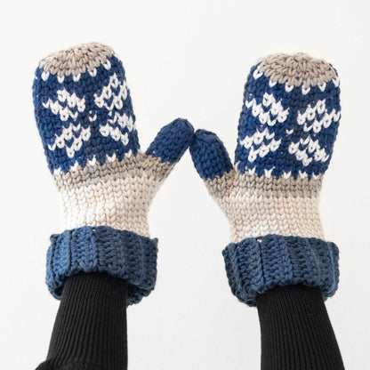 Caron X Pantone Fair Isle Crochet Mittens Single Size