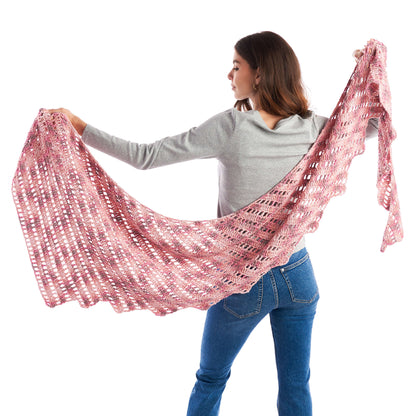 Caron Crochet Stair Step Shawl Single Size
