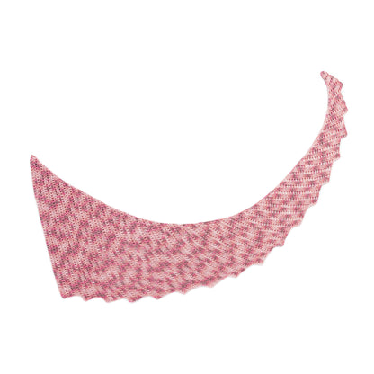 Caron Crochet Stair Step Shawl Single Size