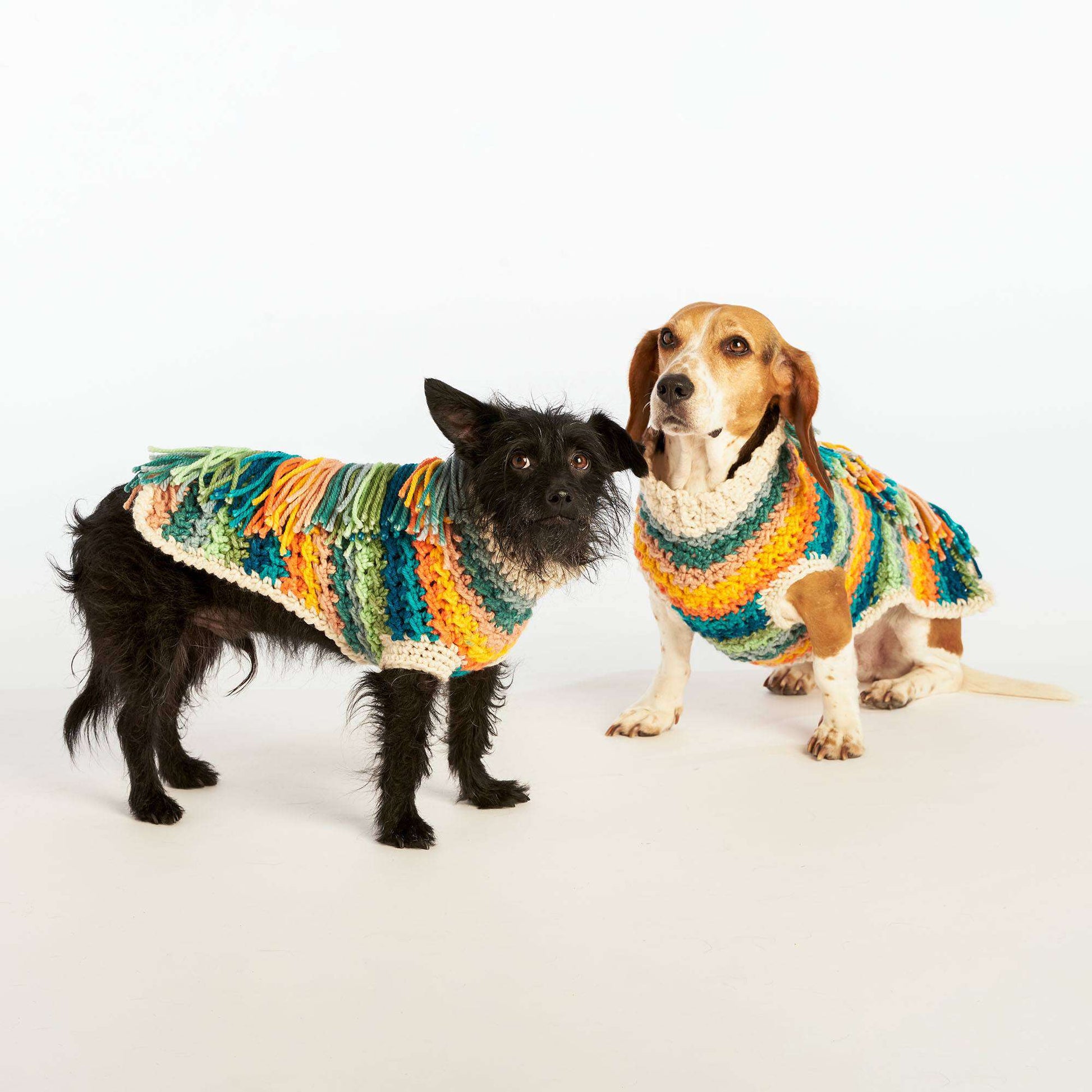 Free Caron Happy Dog Crochet Sweater Pattern
