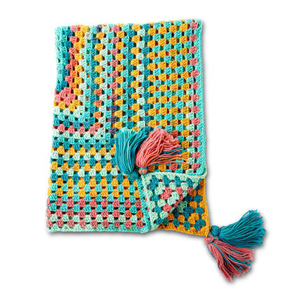 Caron Granny Rectangle Crochet Afghan Single Size