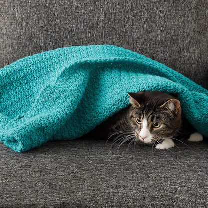 Caron Crochet Snuggle Pet Blanket Dog