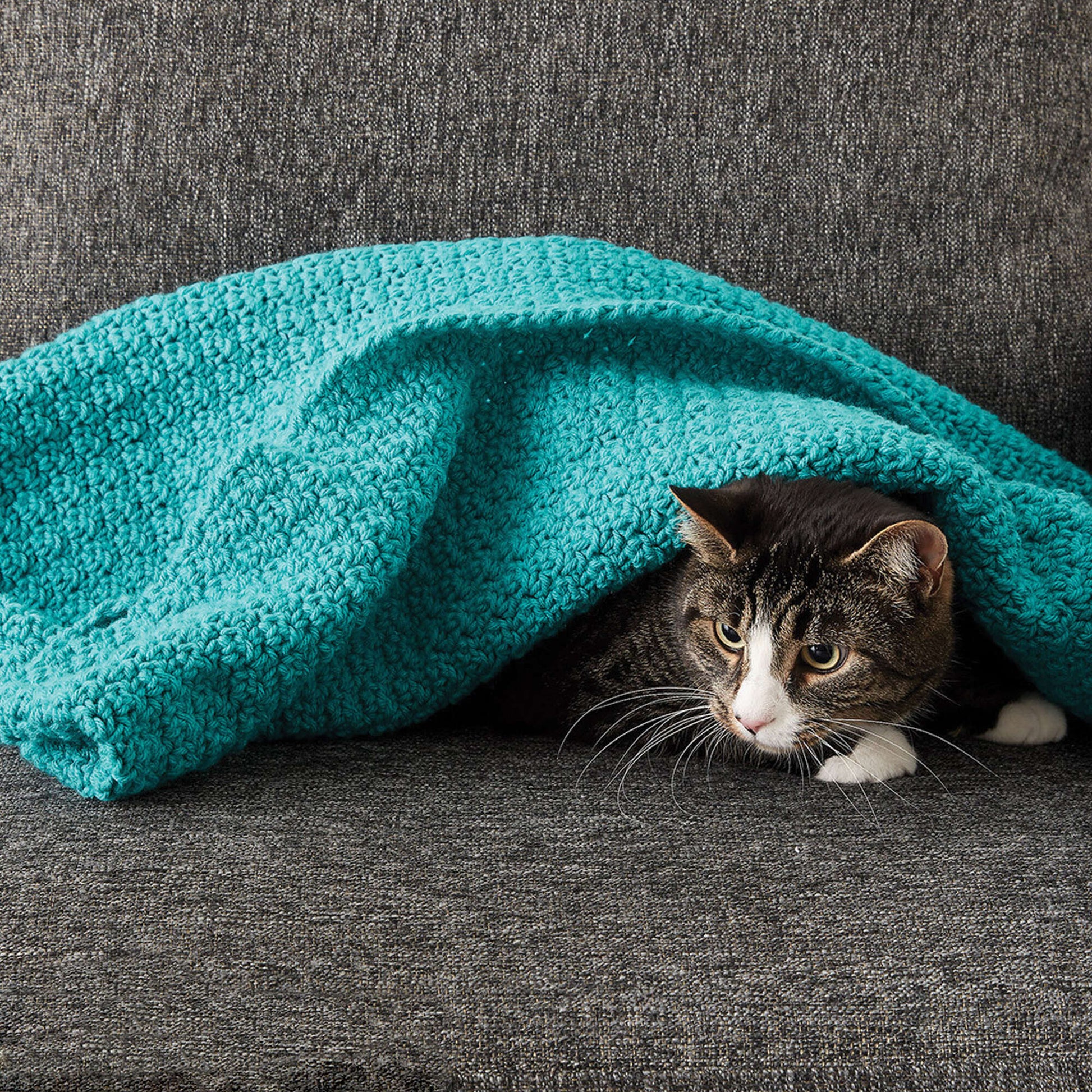 Yarnplaza Swaddle Blanket Cat Crochet Kit 