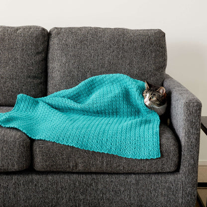 Caron Crochet Snuggle Pet Blanket Cat