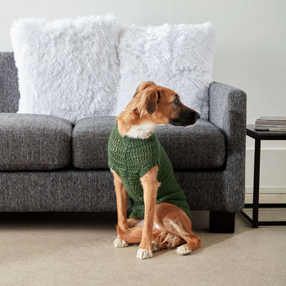 Caron Crochet Dapper Pup Sweater Small