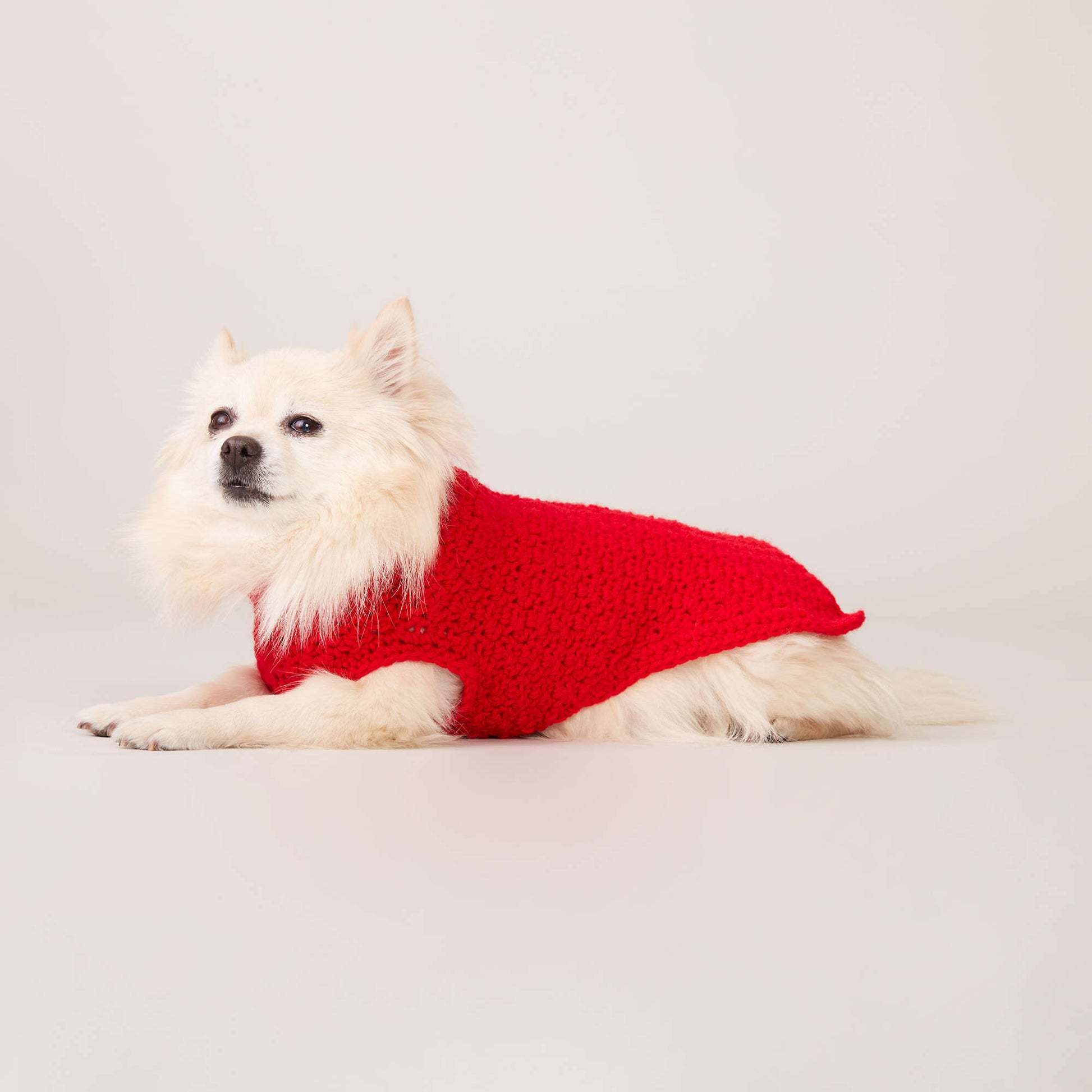 Free Caron Crochet Dog Coat Pattern