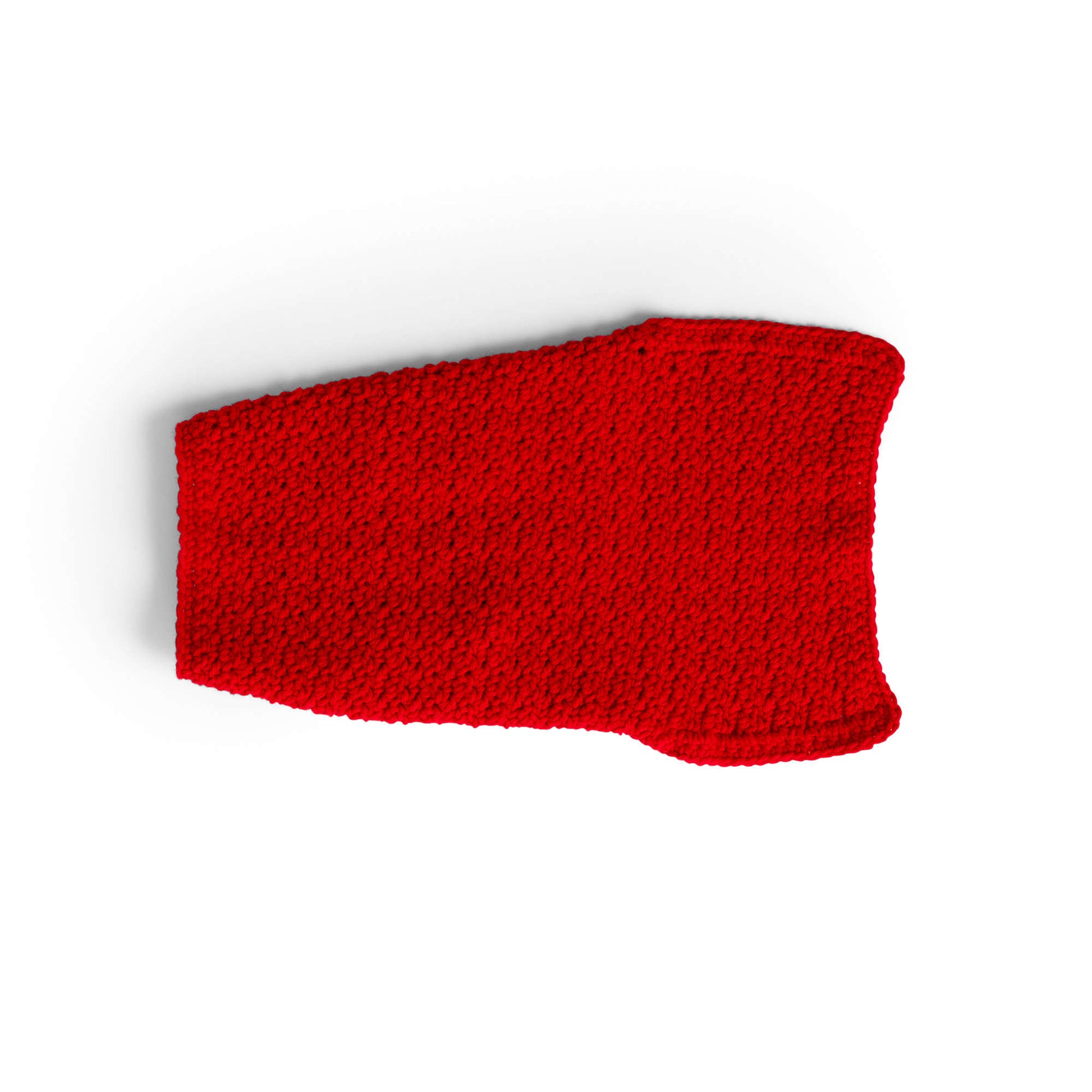 Caron Crochet Dog Coat Yarnspirations caron-crochet-dog-coat-yarnspirations