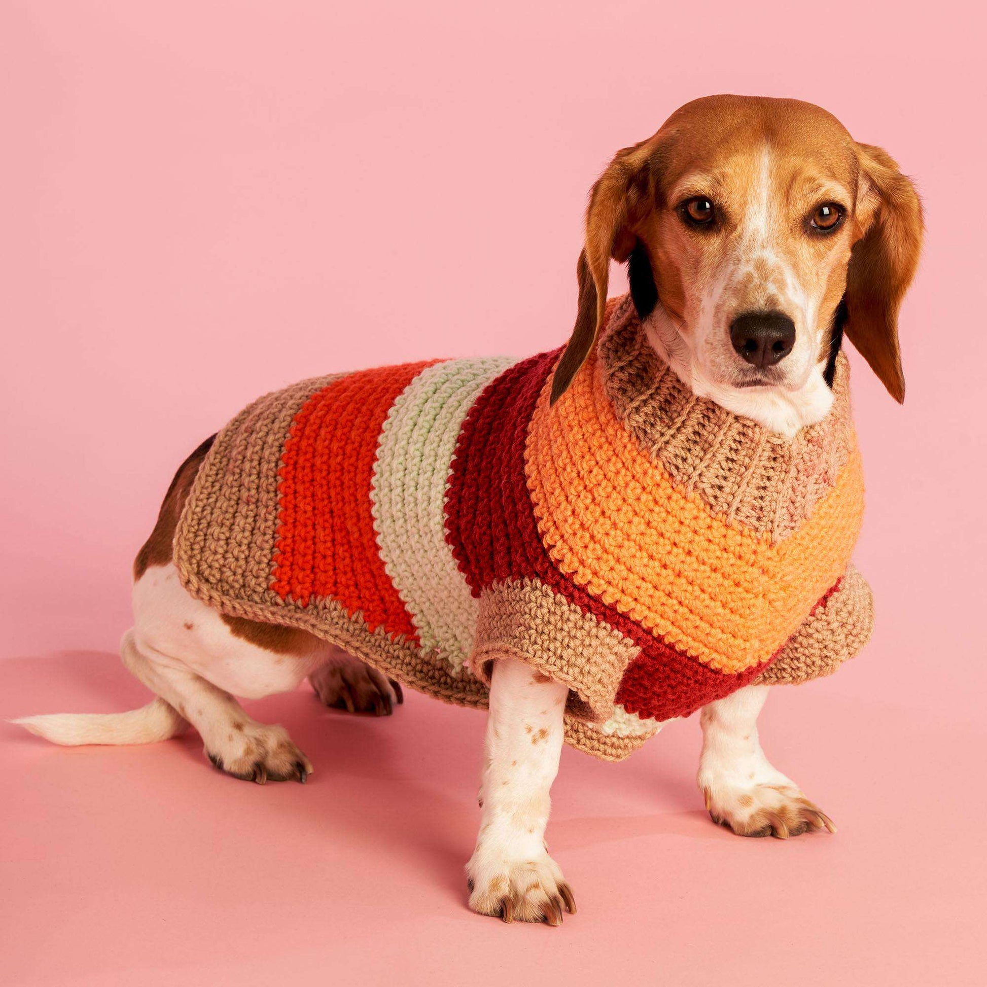 Dachshund Crochet Dog Sweater Pdf Free Easy Caron DO'Go Sweater Crochet  Pattern Yarnspirations, image size:1946x1946