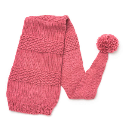 Caron Scarf Hat Knit Single Size
