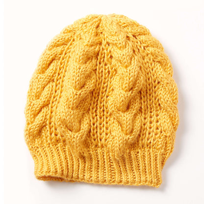 Caron Shaker Cable Hat Knit Single Size