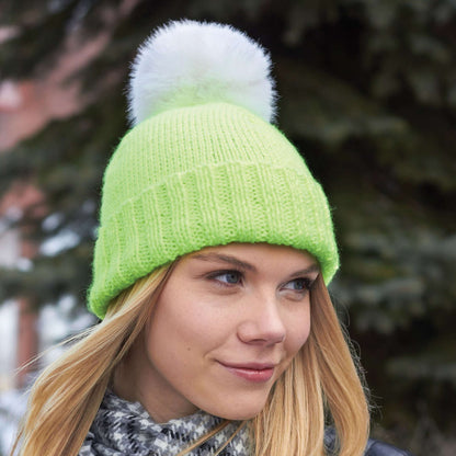 Caron Knit Basic Hat Single Size