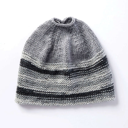 Caron Messy Bun Knit Hat Single Size