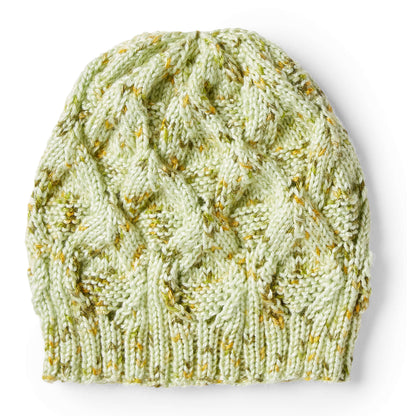Caron Medallion Knit Hat Single Size