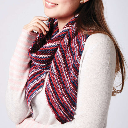 Caron Knit Bias Stripes Scarf Single Size