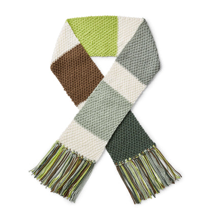 Caron X Pantone Knit Color Swatch Scarf Version 1