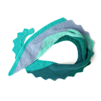 Caron Step It Up Knit Shawl Single Size