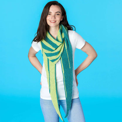 Caron La Pelosa Knit Shawl Single Size