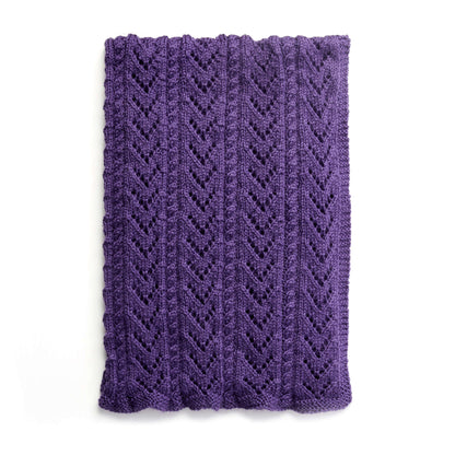 Caron Cables and Lace Knit Baby Blanket Single Size