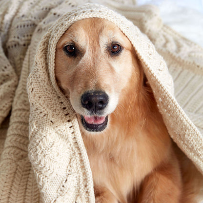 Caron Counterpane Knit Blanket Single Size