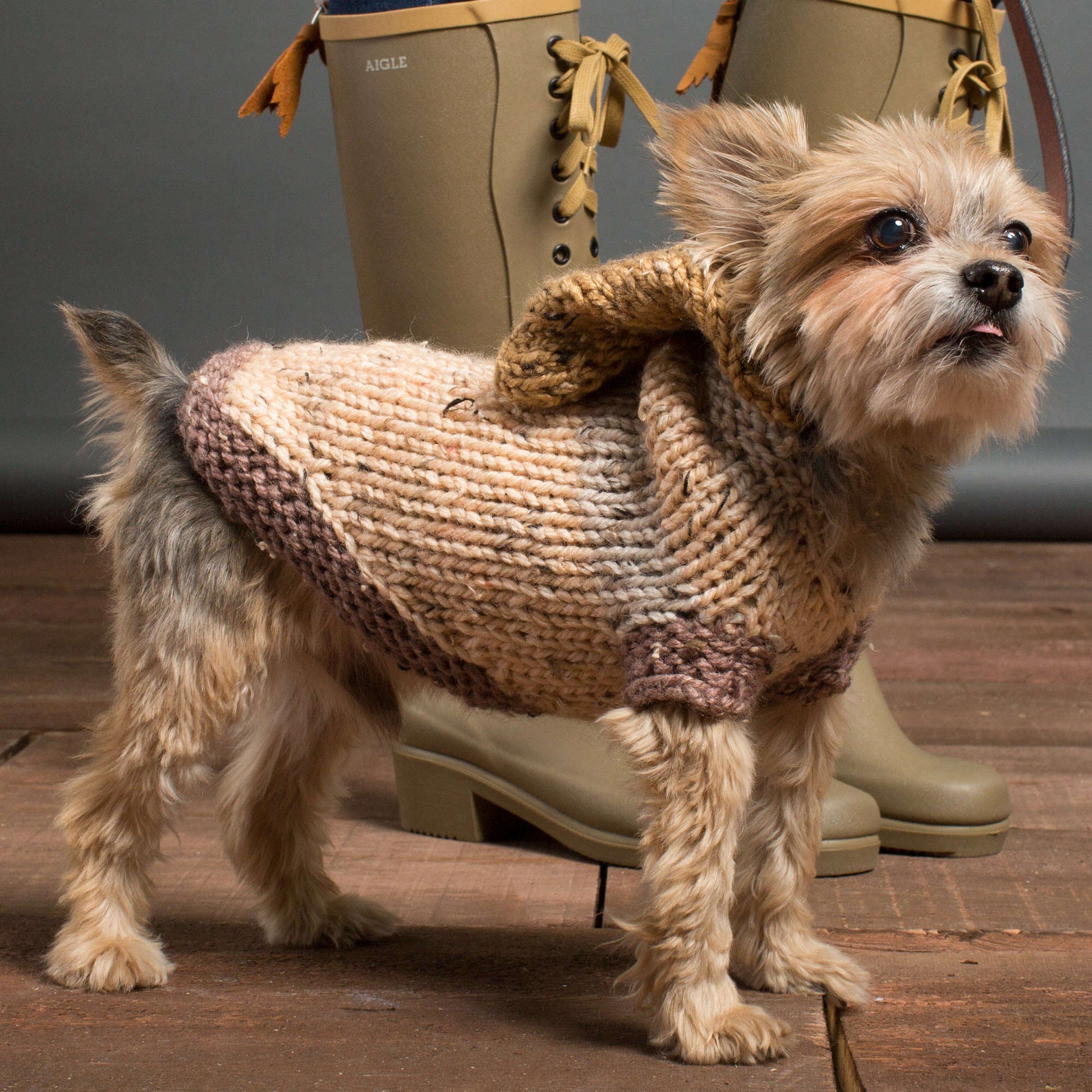 Free Caron Knit Hoodie Dog Coat Pattern