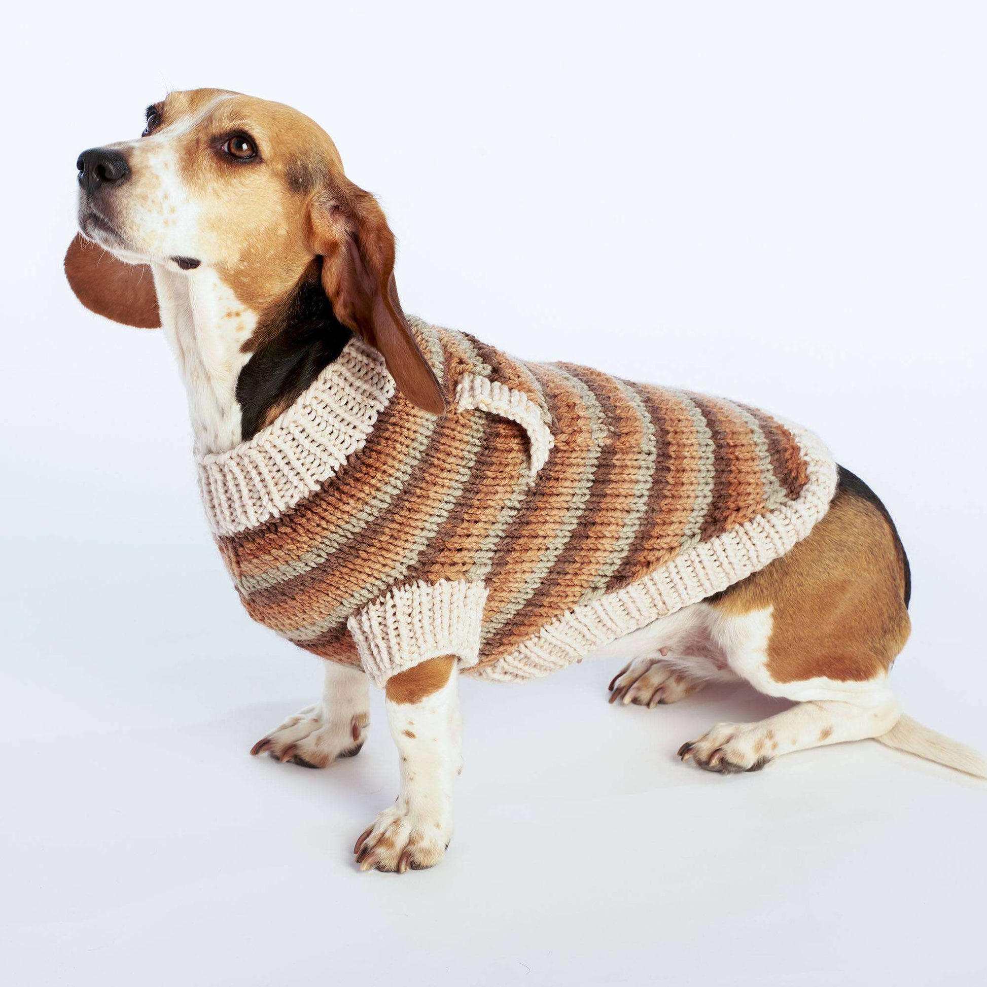 Free Caron Neutral Stripes Knit Dog Coat Pattern