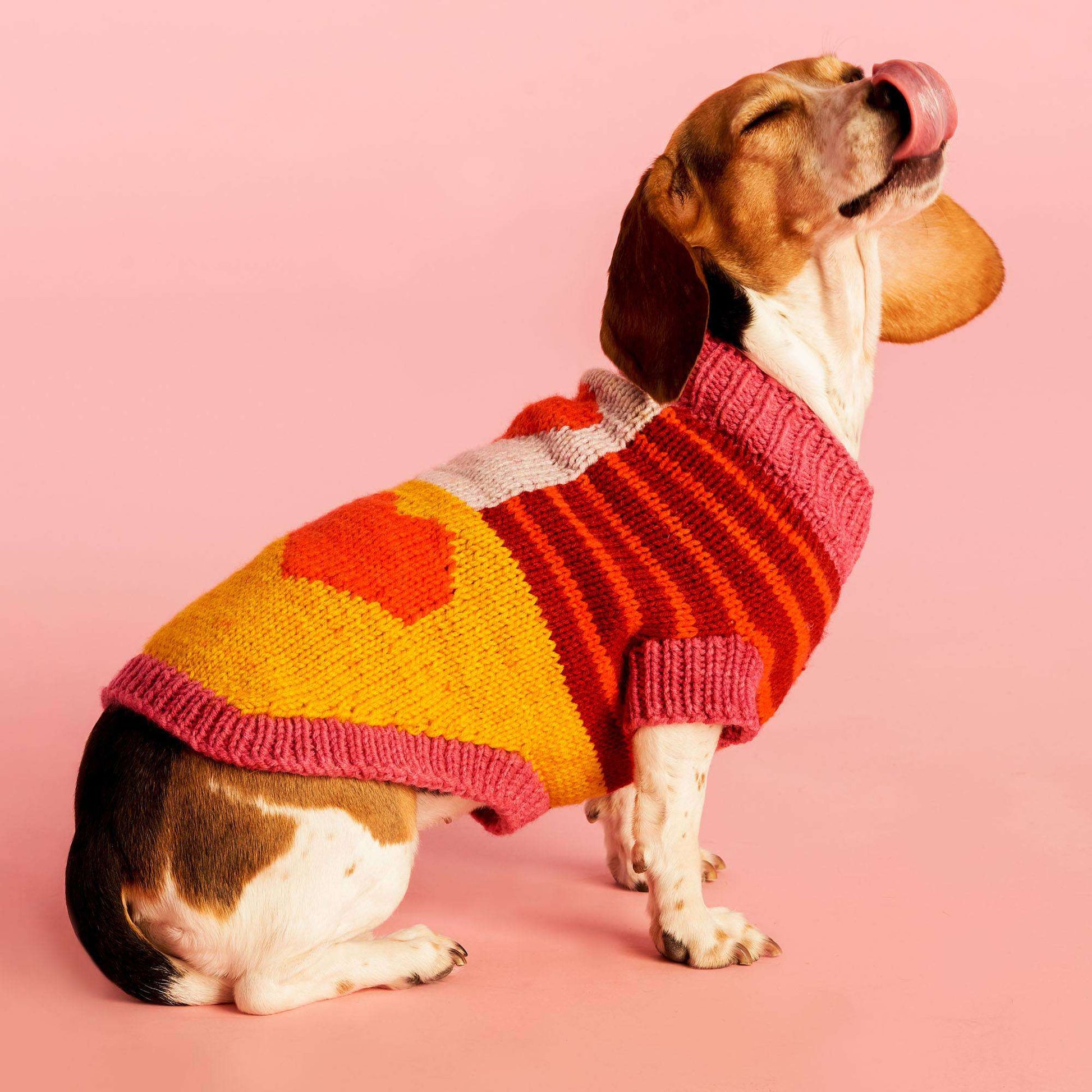 Free Caron Doggie's Got Heart Knit Sweater Pattern
