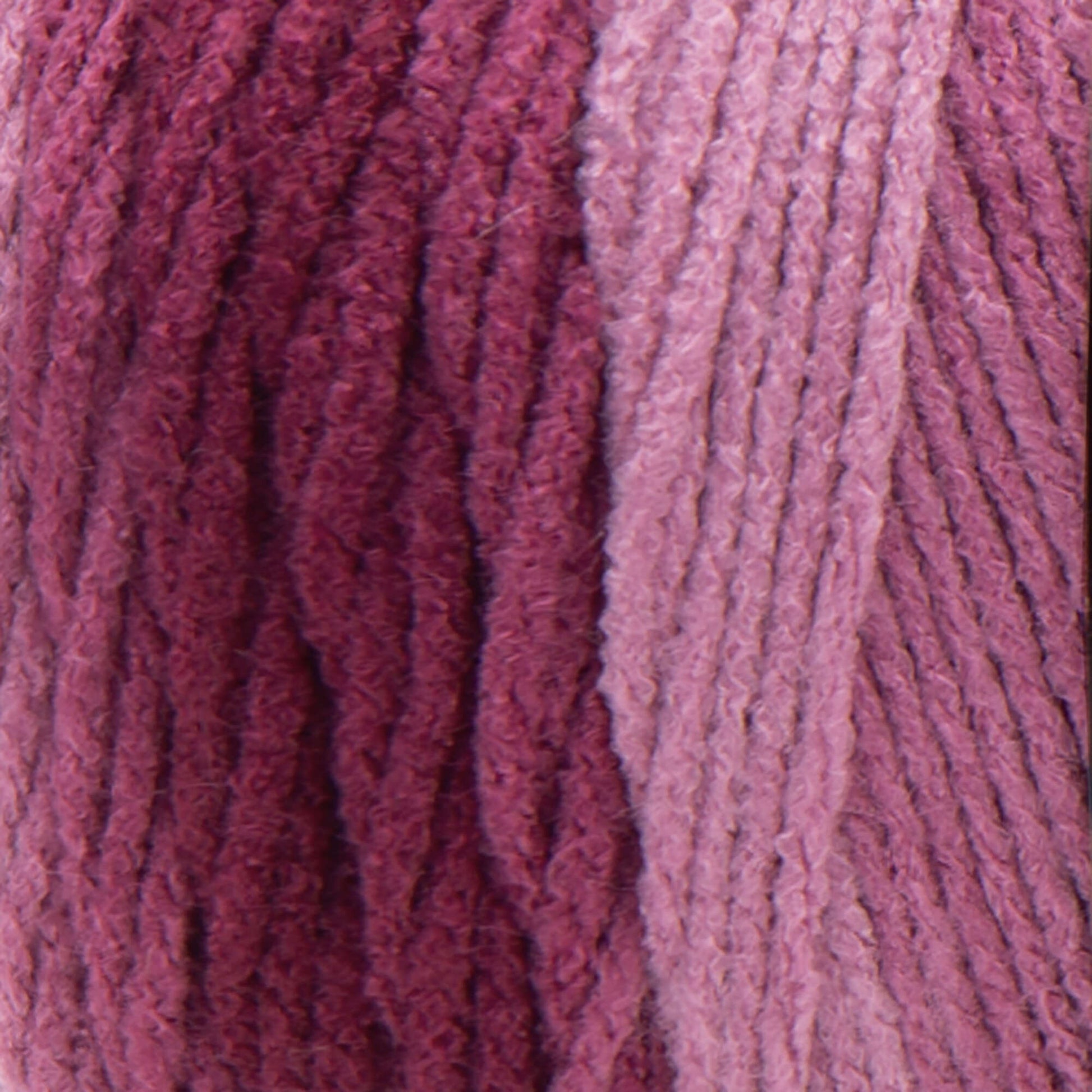 Red Heart Super Saver Ombre Yarn Anemone