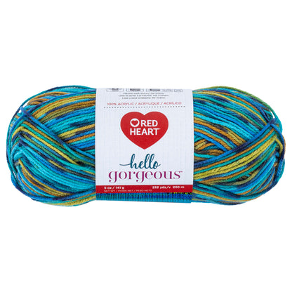 Red Heart Hello Gorgeous Yarn - Discontinued shades Atlantis