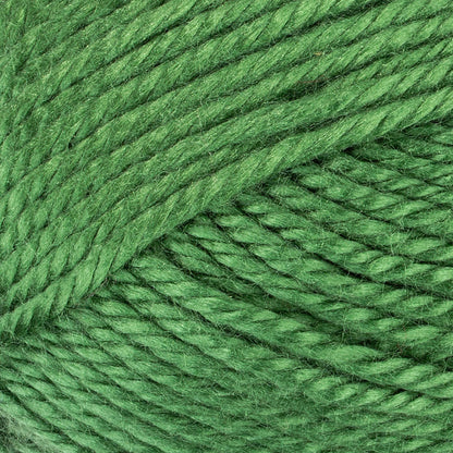Red Heart Soft Essentials Yarn - Discontinued shades Grass