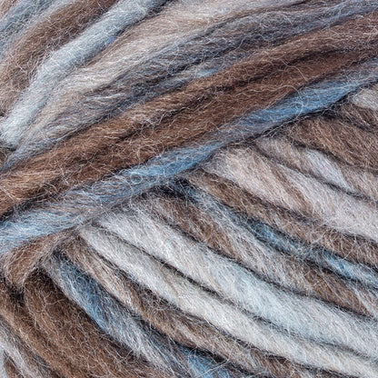Red Heart Evermore Yarn - Discontinued shades Marsh