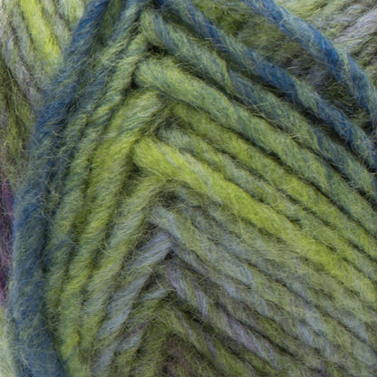 Red Heart Colorscape Yarn - Discontinued shades Dublin