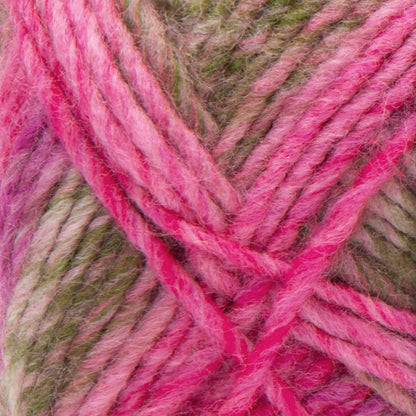Red Heart Colorscape Yarn - Discontinued shades Seattle