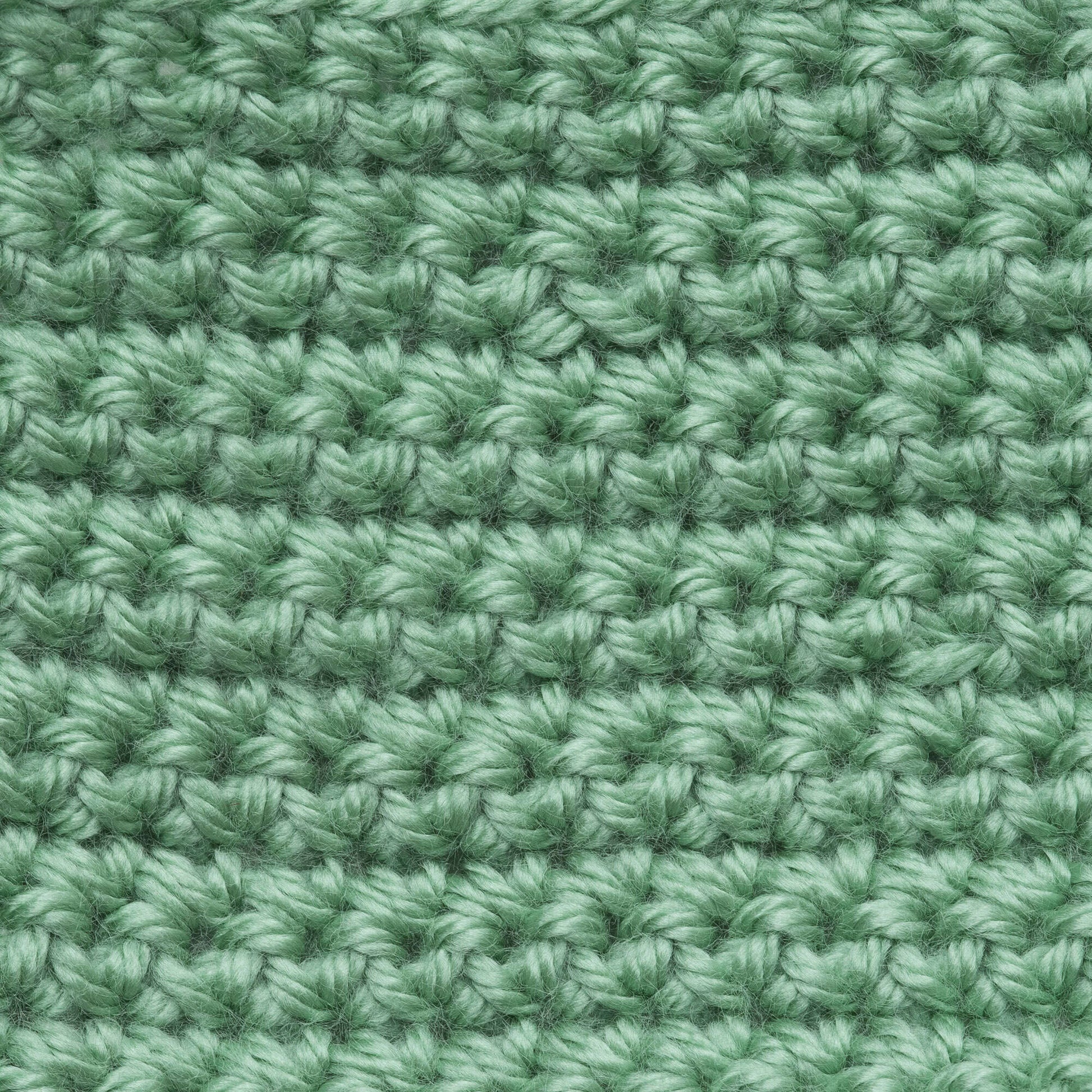 Caron Simply Soft Solids Yarn-Cool Green, 1 count - Pay Less Super