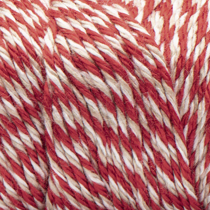 Caron Simply Soft Marled Yarn - Discontinued Shades Harvest Red