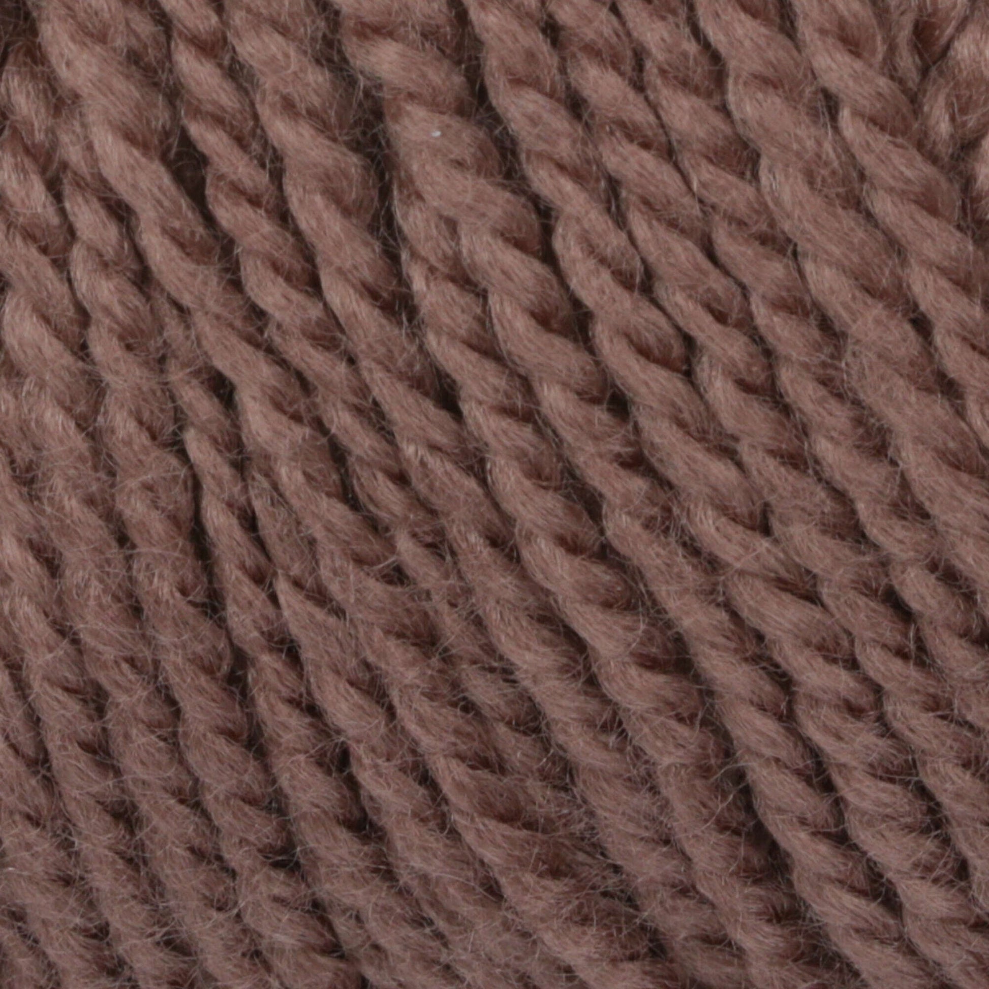  Caron Simply Soft Yarn, 3oz, Gauge 4 Medium Worsted, 100%  Acrylic - Pansy - For Crochet, Knitting & Crafting