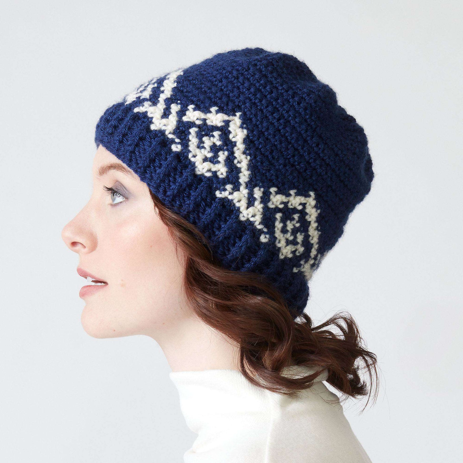 Patons Winter Crown Crochet Hat Single Size