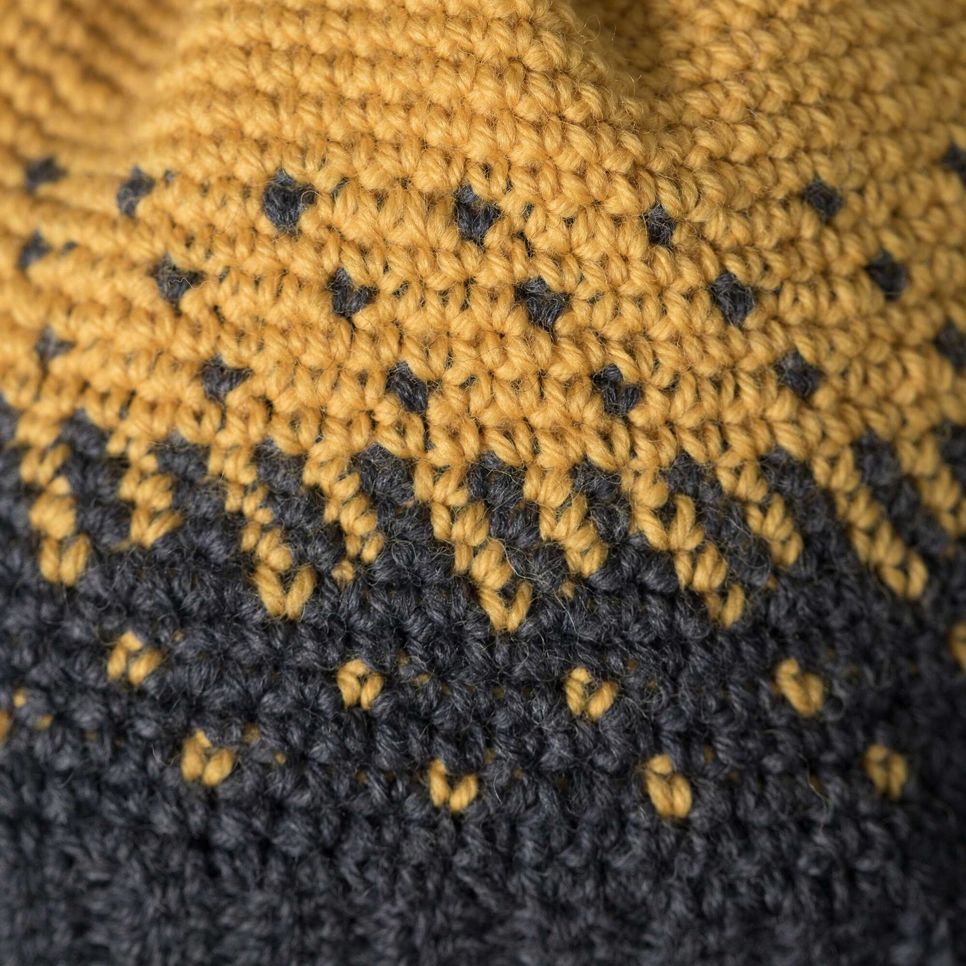 Patons Crochet Colorwork Hat Single Size